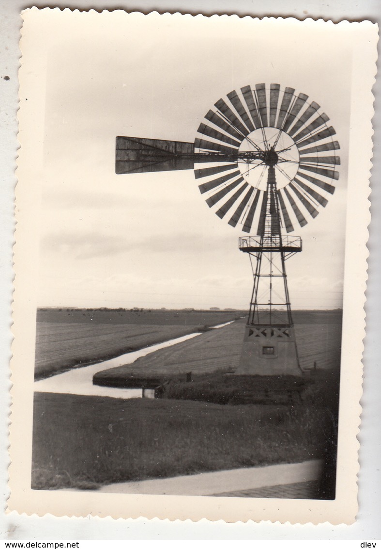 Friesland - Windturbine - éolienne - 1953 - Foto Formaat 7.5 X 10.5 Cm - Autres & Non Classés