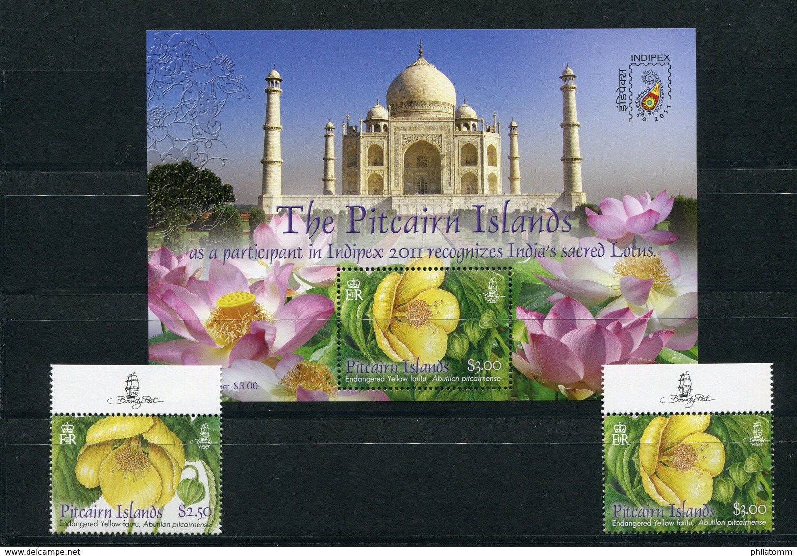 Pitcairn - Block Nr. 57 Und Mi.Nr. 823 / 824 - "INDIPEX 2011" ** / MNH (aus Dem Jahr 2011) - Islas De Pitcairn