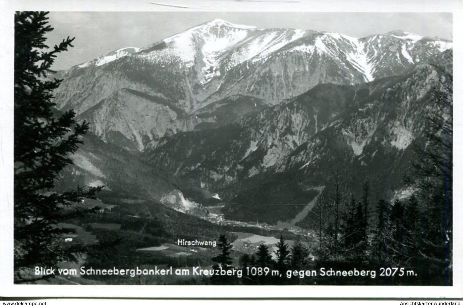 005790  Blick Vom Schneebergbankerl Am Kreuzberg Gegen Schneeberg  1953 - Schneeberggebiet