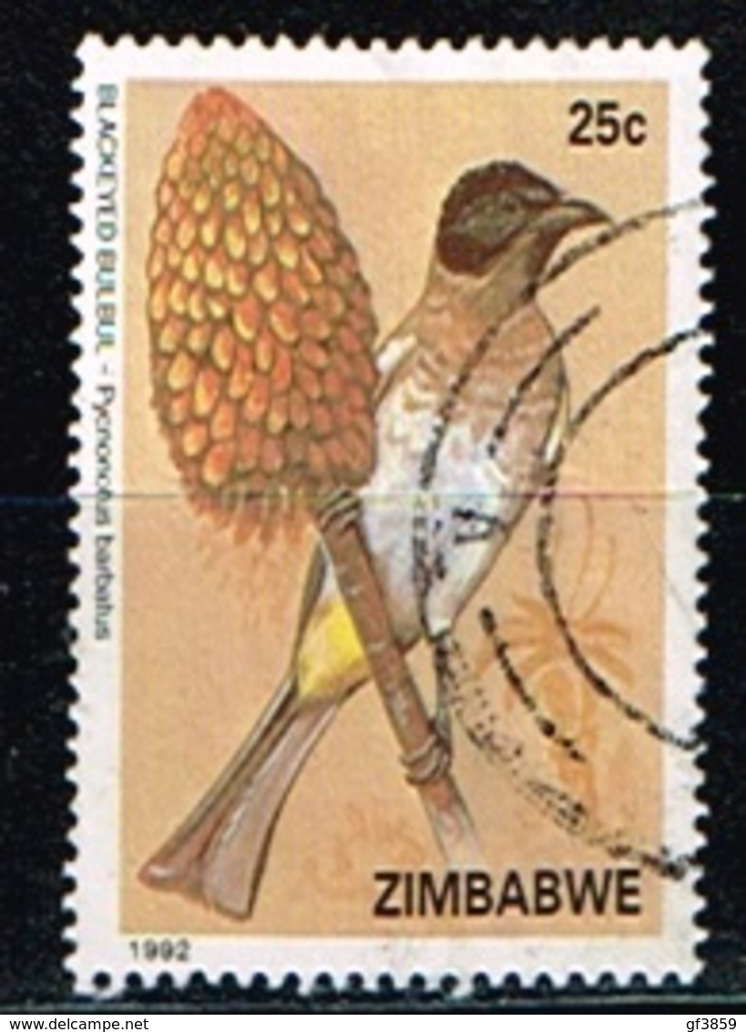 ZIMBABWE /Oblitérés/Used/1992 - Bulbul Des Jardins - Zimbabwe (1980-...)