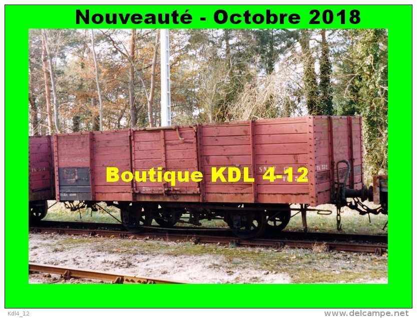 AL 549 - Wagon Tombereau TK 352 En Gare - PRUNIERS EN SOLOGNE - Loir Et Cher - BA - Sonstige & Ohne Zuordnung