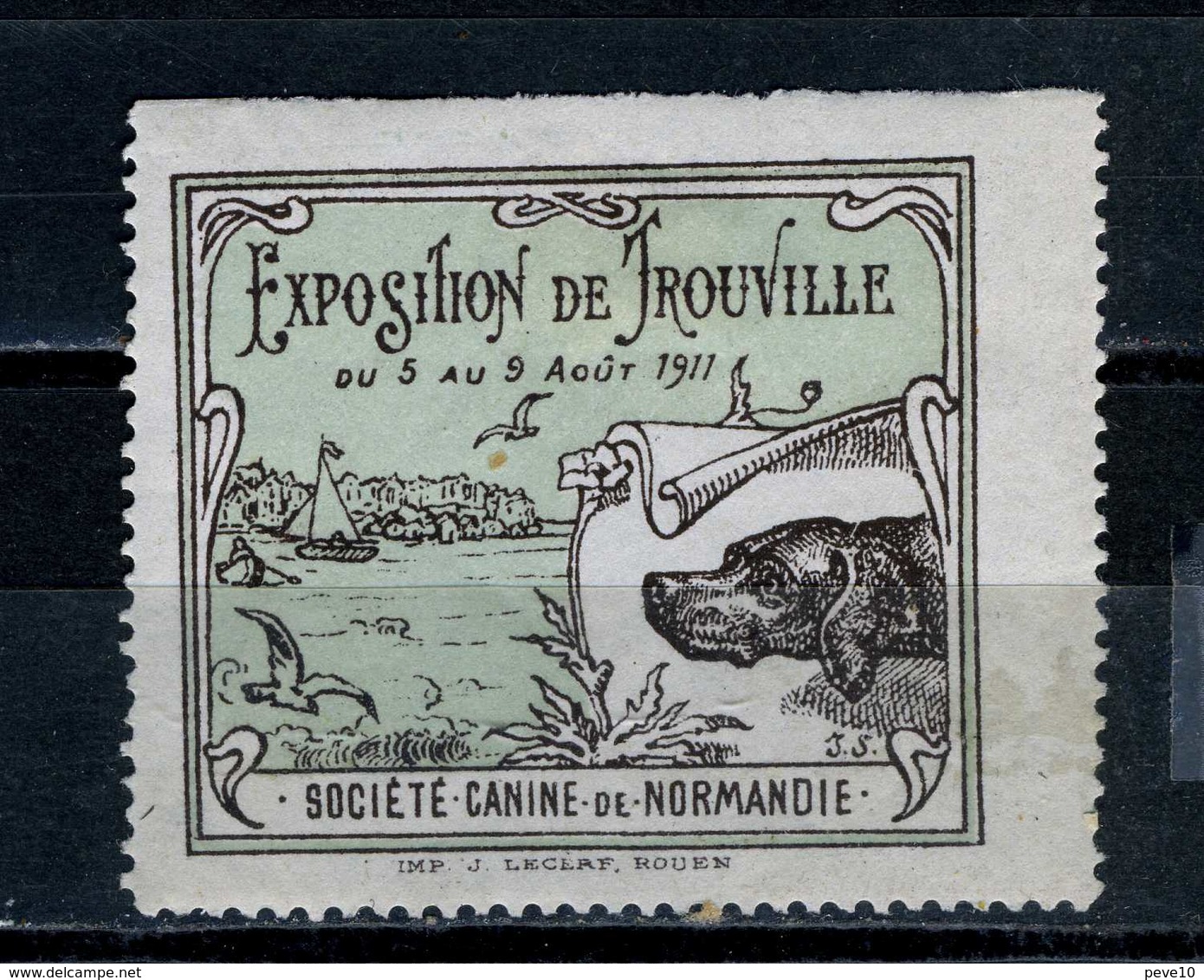 Cinderalla  Chiens    Exposition De Trouville Société Canine De Normandie 1917 - Other & Unclassified