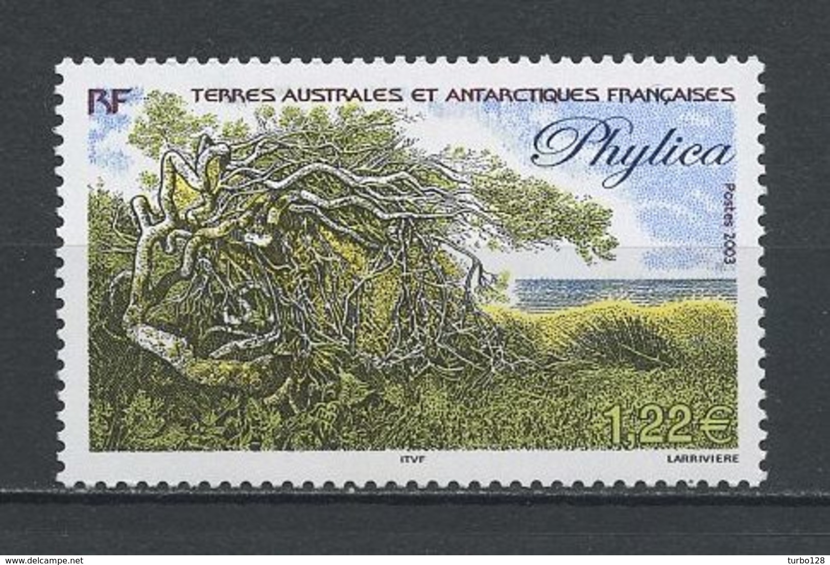 TAAF 2003  N° 363 ** Neuf  MNH Superbe C 5 € Flore Antarctique Phylica Flora Arbres Trees - Neufs