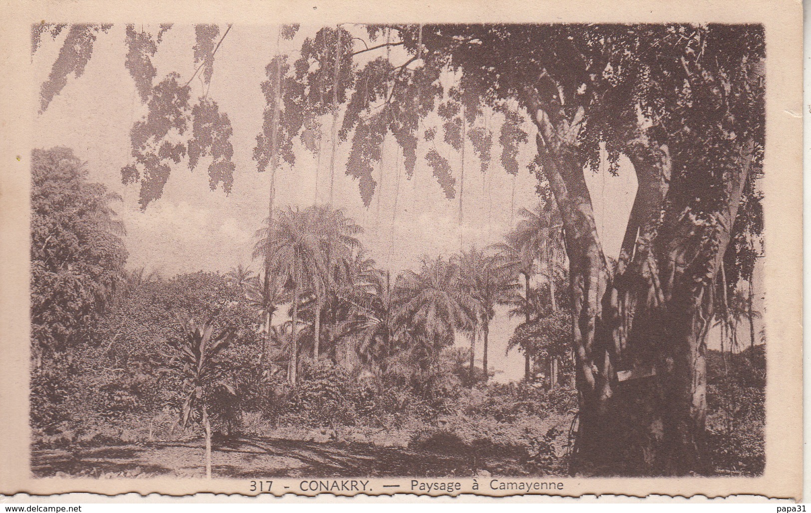 CONAKRY  Paysage à Camayenne - Guinea Ecuatorial