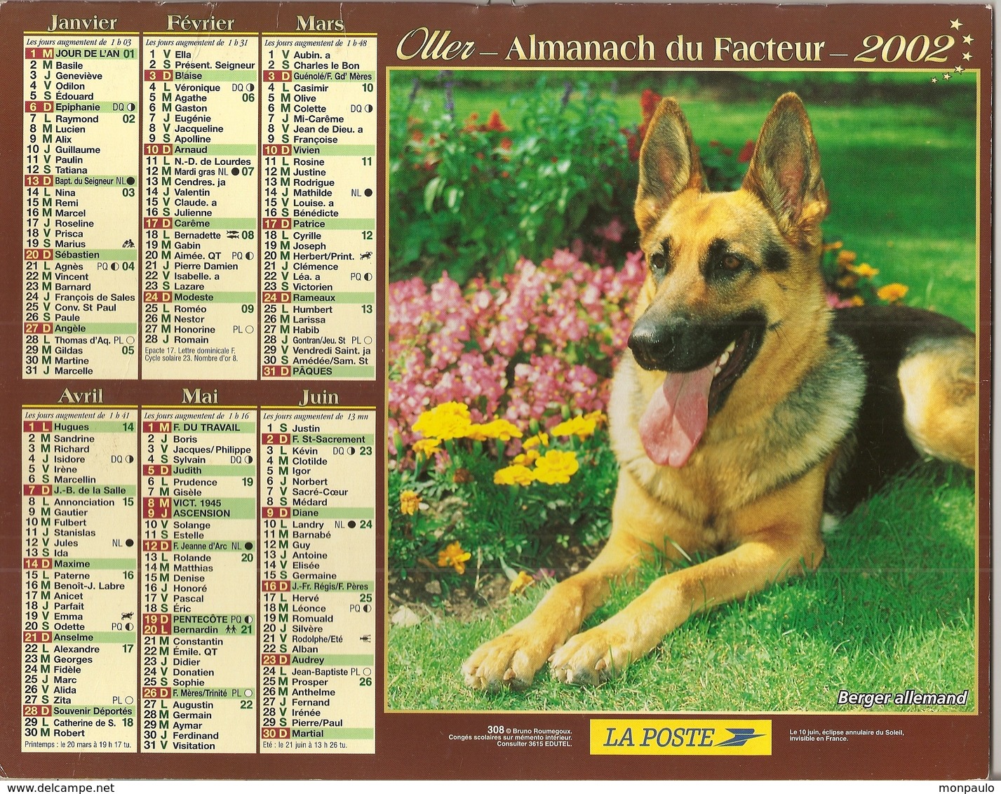 Calendriers. Grand Calendrier P.T.T. 2002. Berger Allemand, Husky Sibérien. Intérieur Passage à L'€uro (facteur) - Grand Format : 2001-...