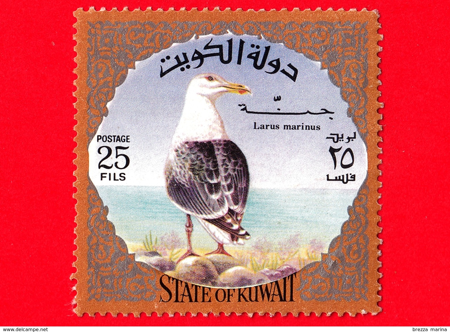 KUWAIT - Usato - Kuwait 1973 - Uccelli - Gabbiani - Larus Marinus - 25 - Kuwait