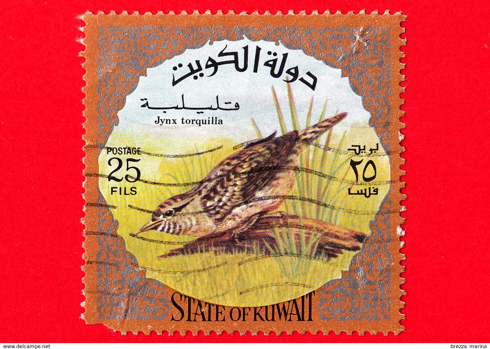 KUWAIT - Usato - 1973 - Uccelli - Torcicollo - Jynx Torquilla - 25 - Vedi ... - Kuwait