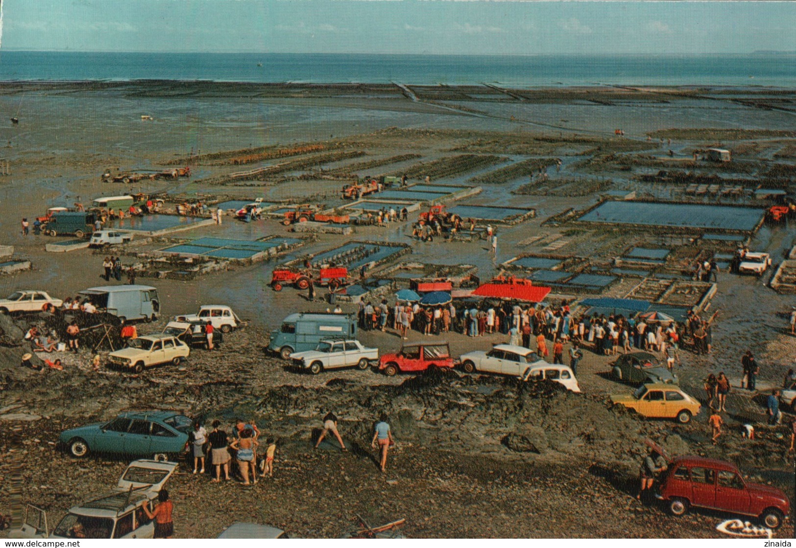 CARTE POSTALE - CANCALE - PARC A HUITRES - VOITURES CITROEN DS MEHARI GS TUBE- PEUGEOT 404 - RENAULT - Cancale