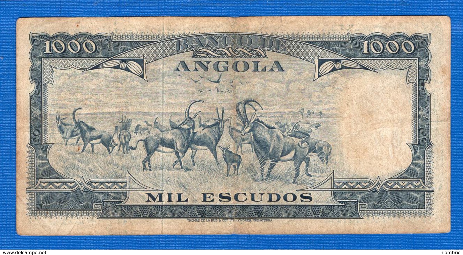 Angola  1000  Escudos - Angola