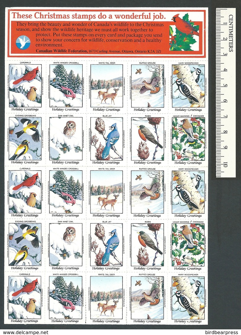 B53-24 CANADA Canadian Wildlife Federation Xmas Seals Sheet 1986 MNH English - Local, Strike, Seals & Cinderellas