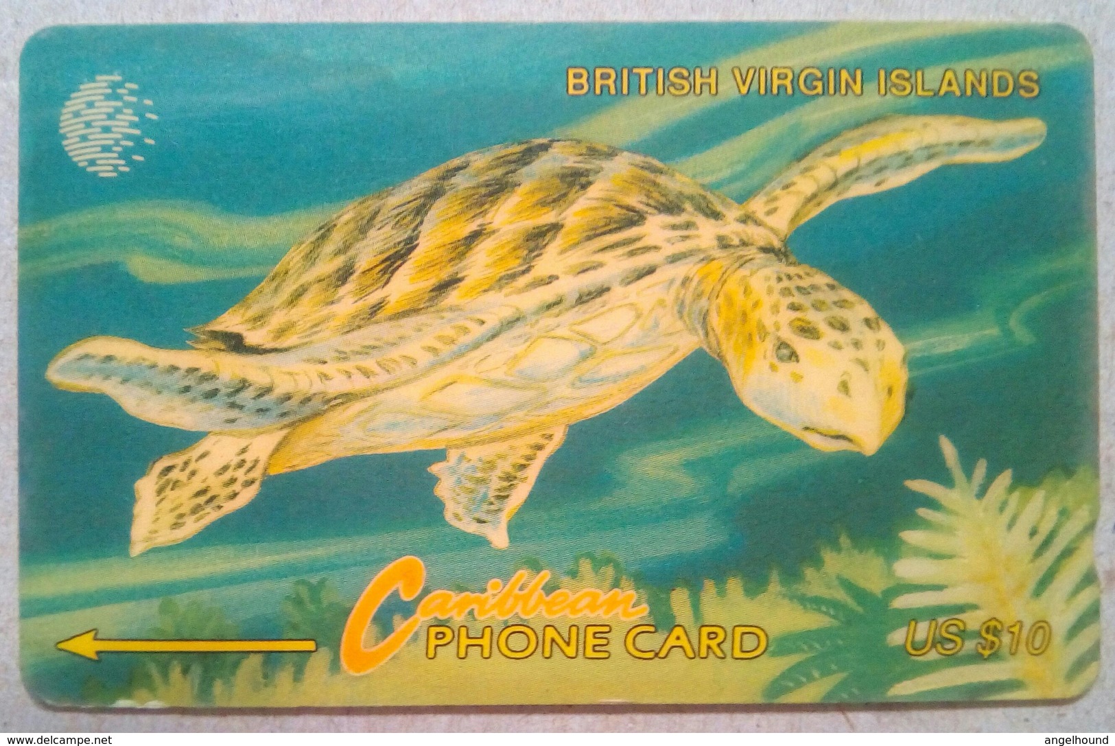 22CBVD Turtle $10 - Virgin Islands