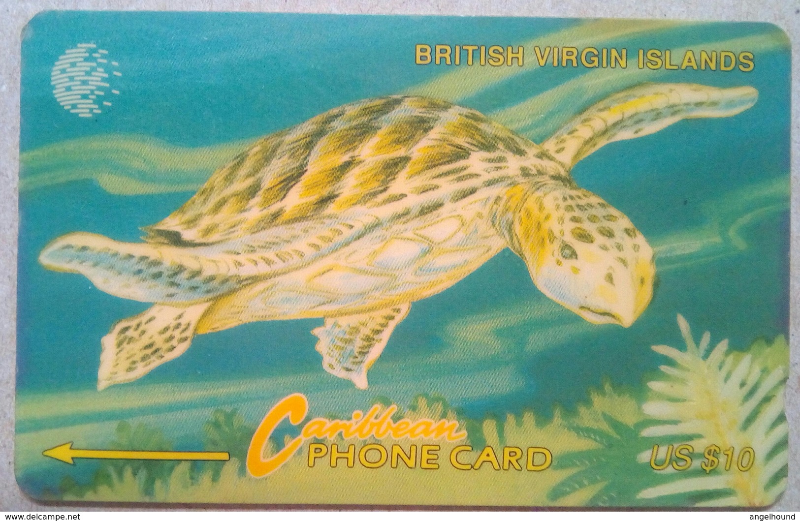 21CBVC Turtle $10 - Vierges (îles)