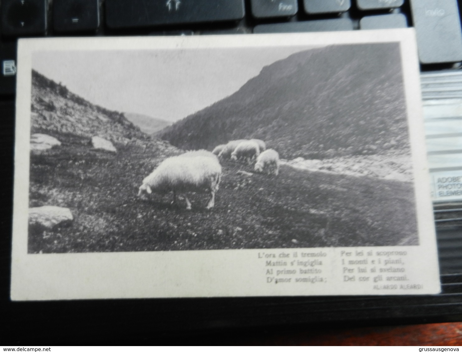 19544) FRASE ALEARDI L'ORA CHE IL TREMOLO ...PECORE AL PASCOLO VIAGGIATA 1912 - Filosofia & Pensatori