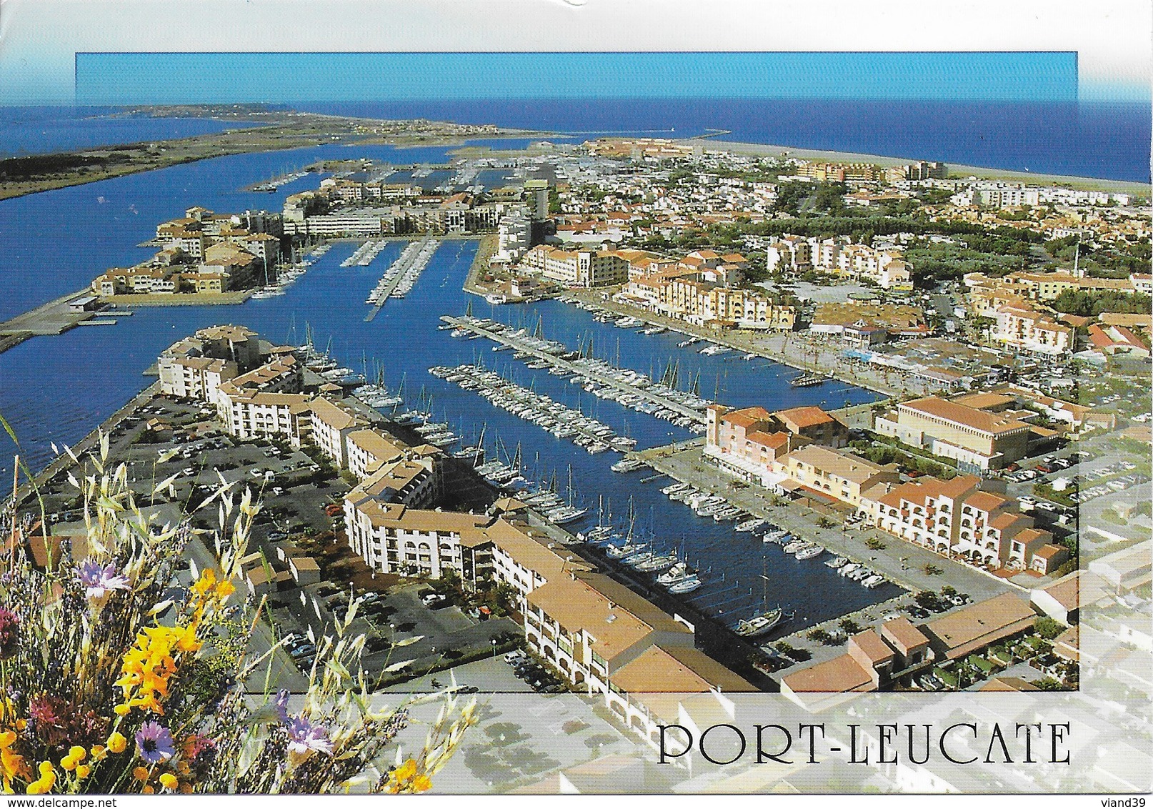 Port Leucate - Leucate