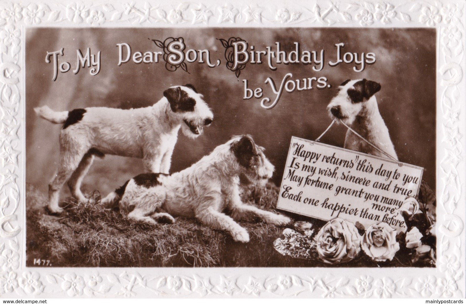 AP97 Greetings - To Dear Son, Birthday Joys - Terrier Dogs - Birthday