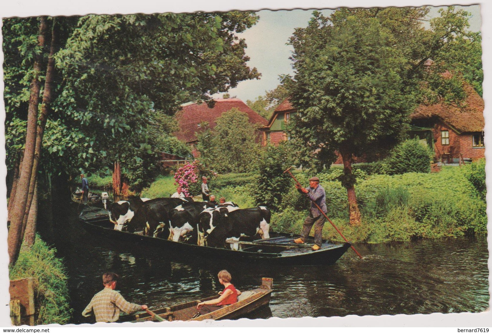 Pays-bas     Giethoorn    Veevervoer - Giethoorn