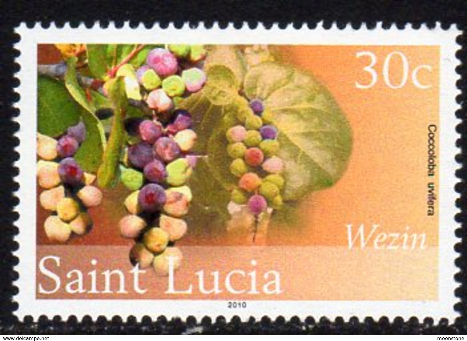 St. Lucia 2010 30c Definitive, Wmk. New Multiple Crowns, 2010 Imprint, MNH (SG 1383) - St.Lucia (1979-...)