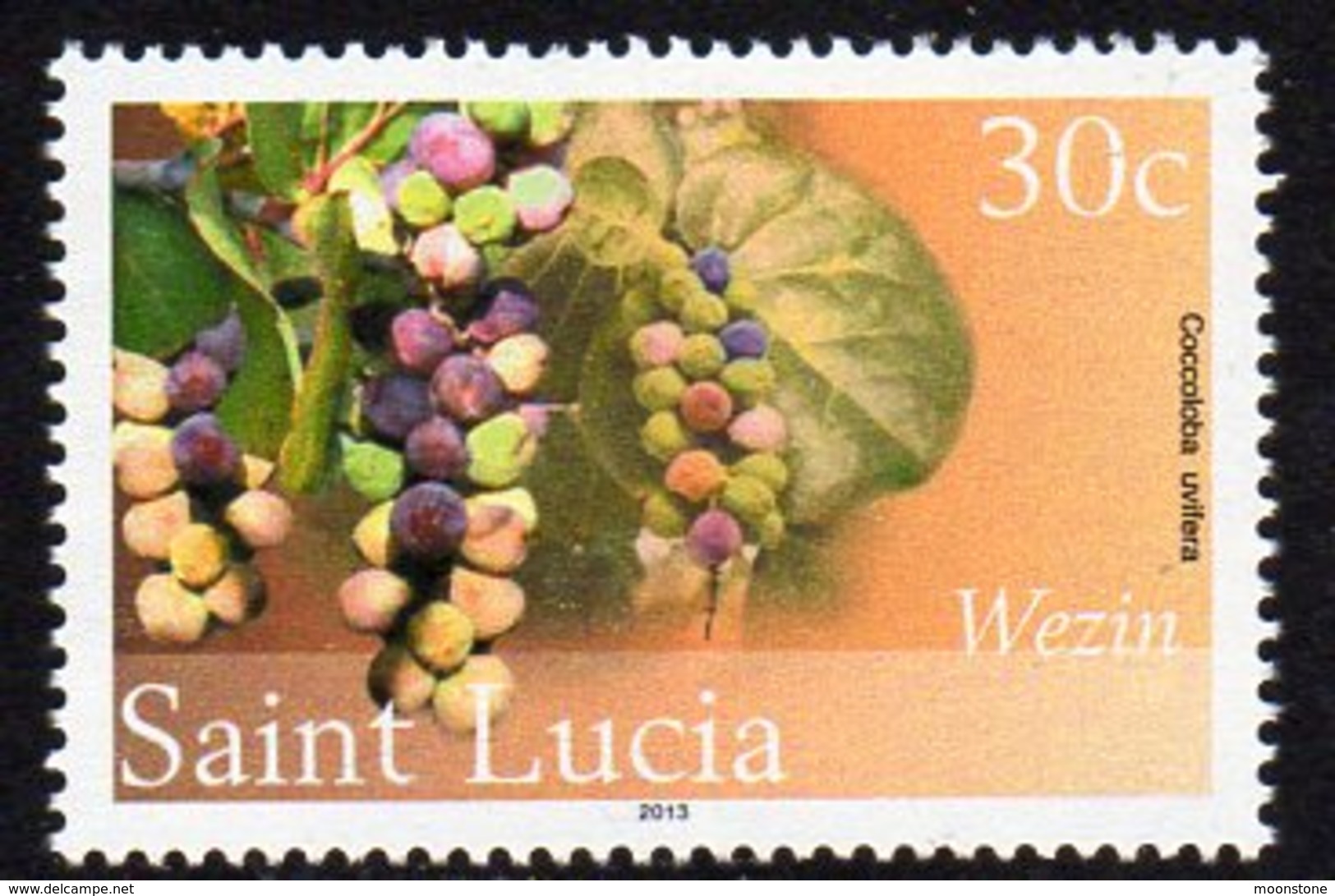 St. Lucia 2010 30c Definitive, Wmk. New Multiple Crowns, 2013 Imprint, MNH (SG 1383) - St.Lucie (1979-...)