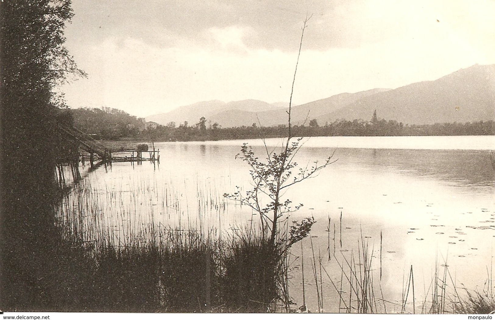 Suisse. CPA. Tessin. Muzzano. Lago Di Muzzano - Muzzano