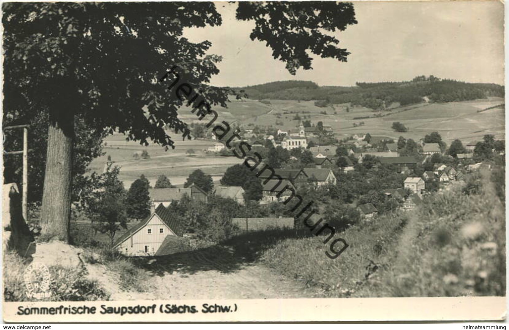 Saupsdorf - Verlag H. Wagner Hinterhermsdorf - Foto-AK Handabzug 50er Jahre - Sebnitz