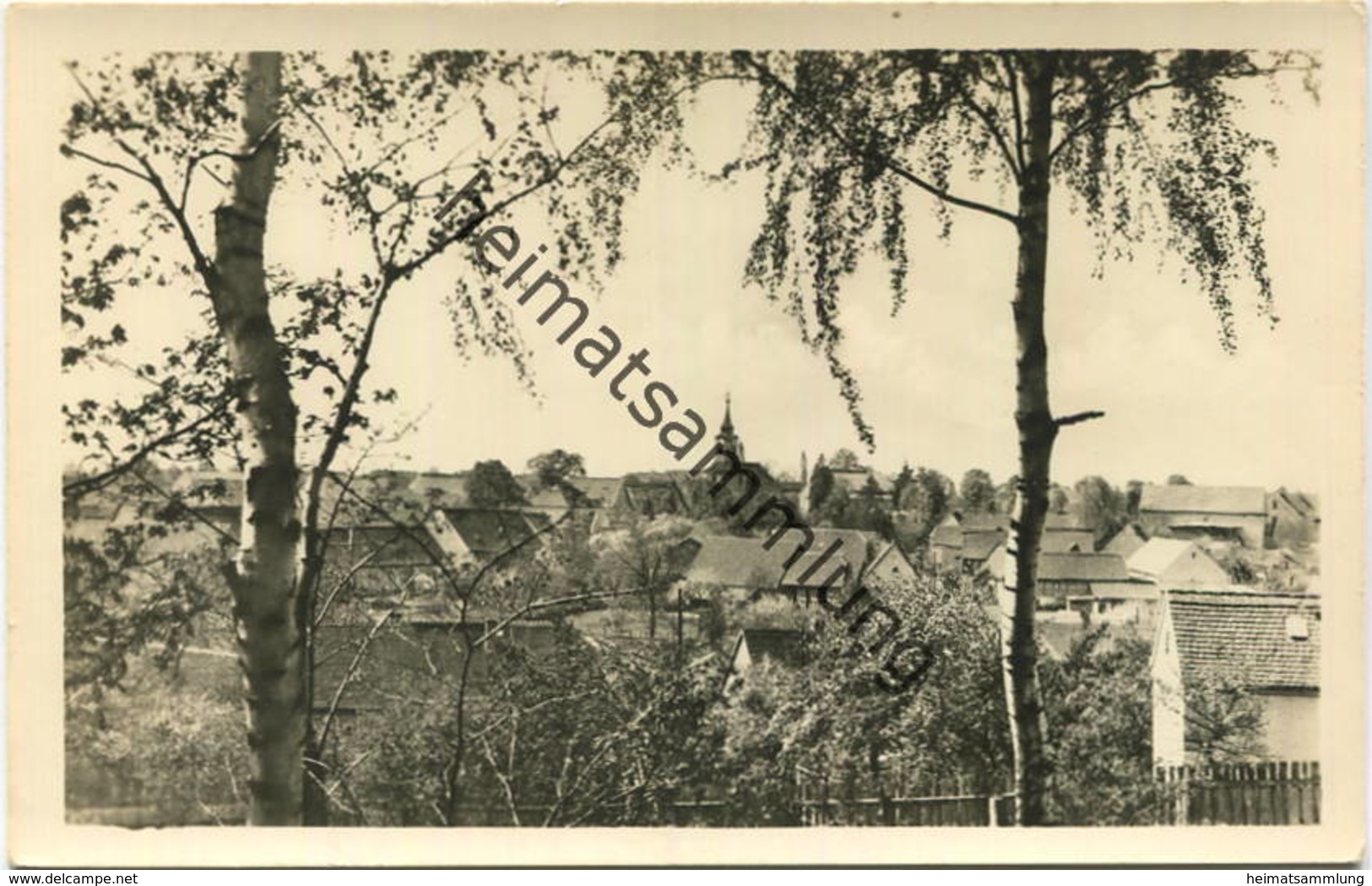 Schmannewitz - Gesamtübersicht - Verlag Harri Exner Leipzig - Foto-Ak Handabzug 50er Jahre - Dahlen