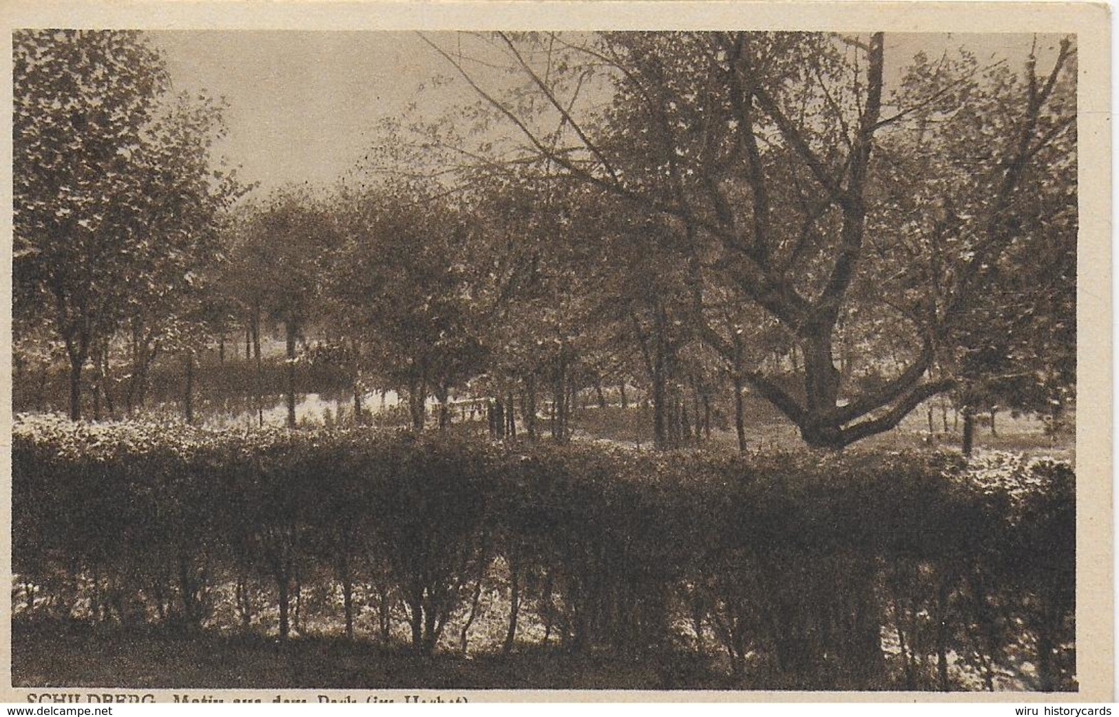 AK 0066  Schildberg - Herbstmotiv Aus Dem Park Um 1910-20 - Pommern