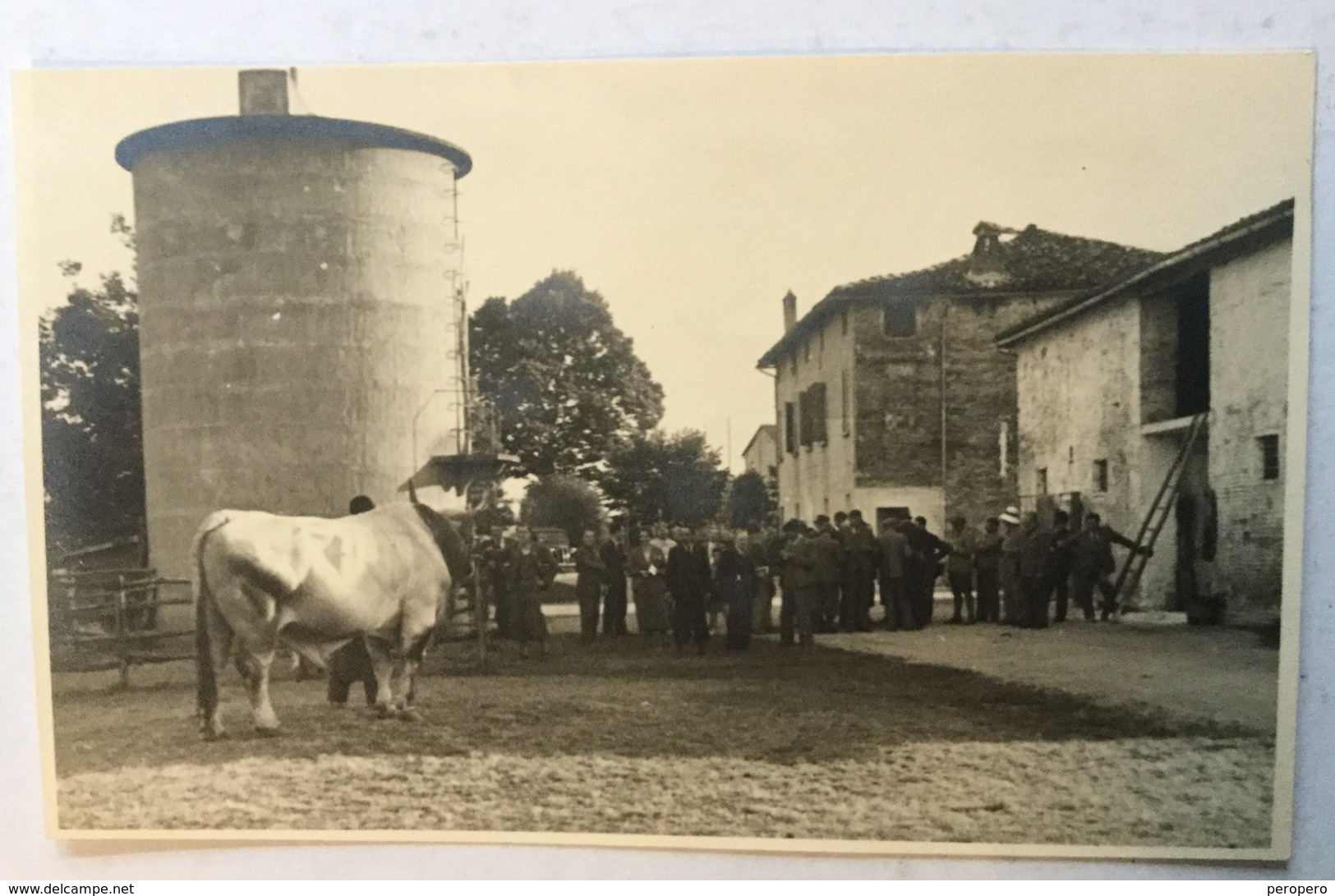 Cartolina   IMOLA - Imola