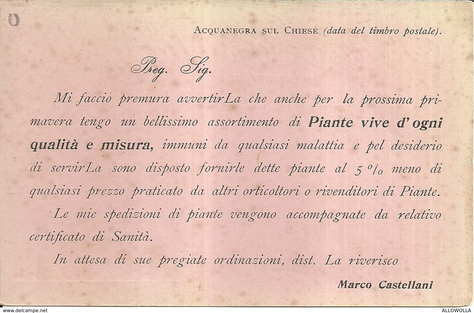1716 " MARCO CASTELLANI - ORTICOLTORE - ACQUANEGRA SUL CHIESE " CART. POST. ORIG. NON SPED. - Mercanti