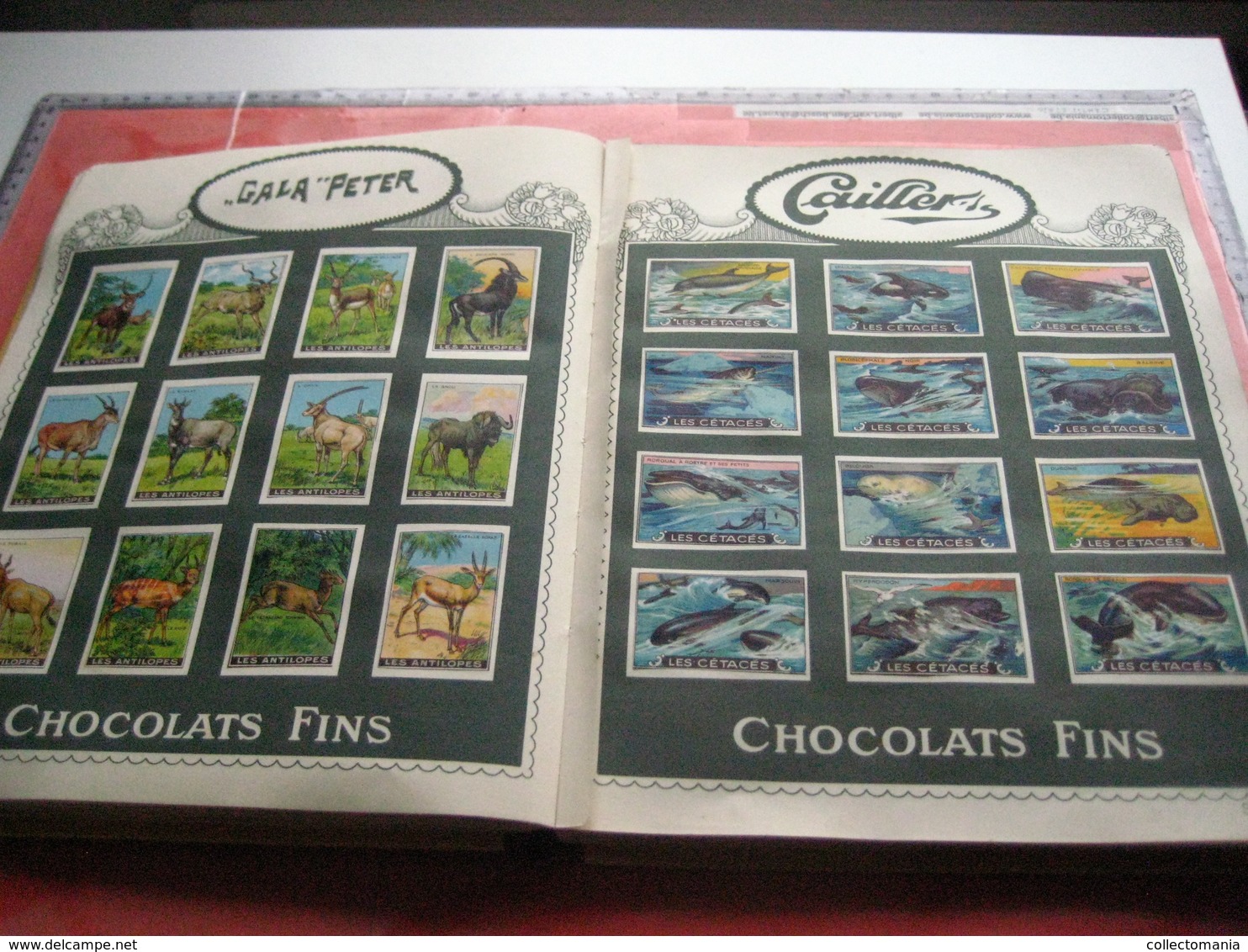 full set 1440 cards, complete sets of 12 excellent chromos, original album - NESTLE butterflies, dogs, horses VG c1926