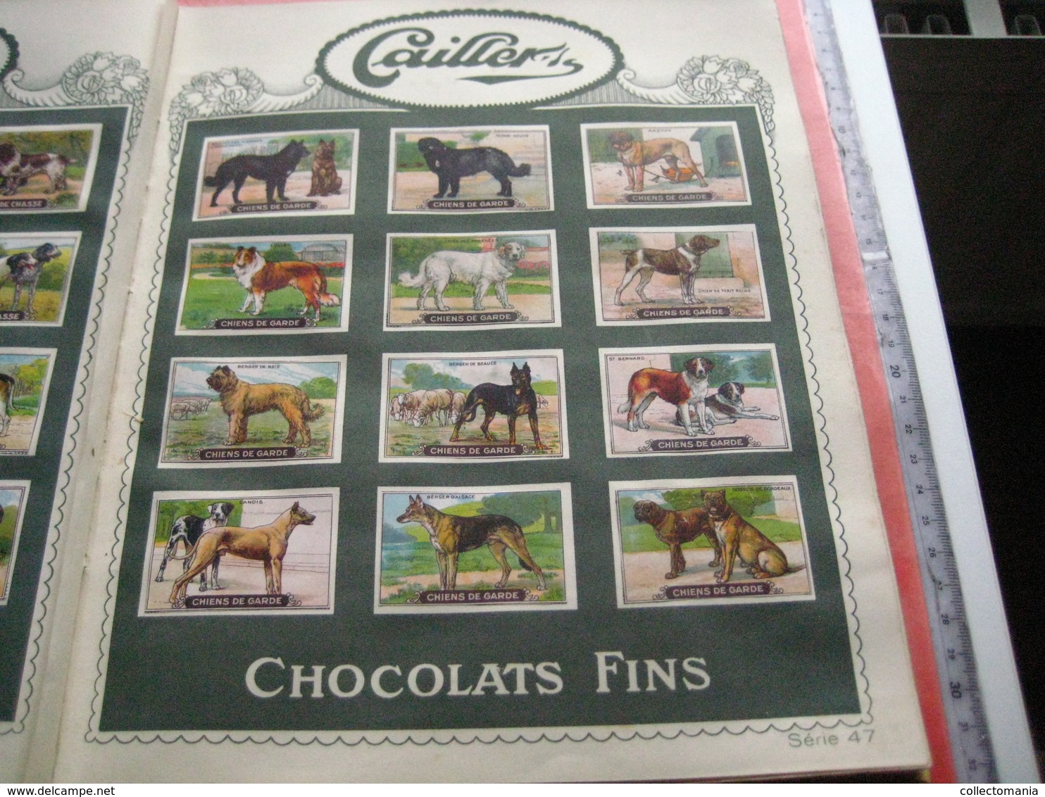 full set 1440 cards, complete sets of 12 excellent chromos, original album - NESTLE butterflies, dogs, horses VG c1926