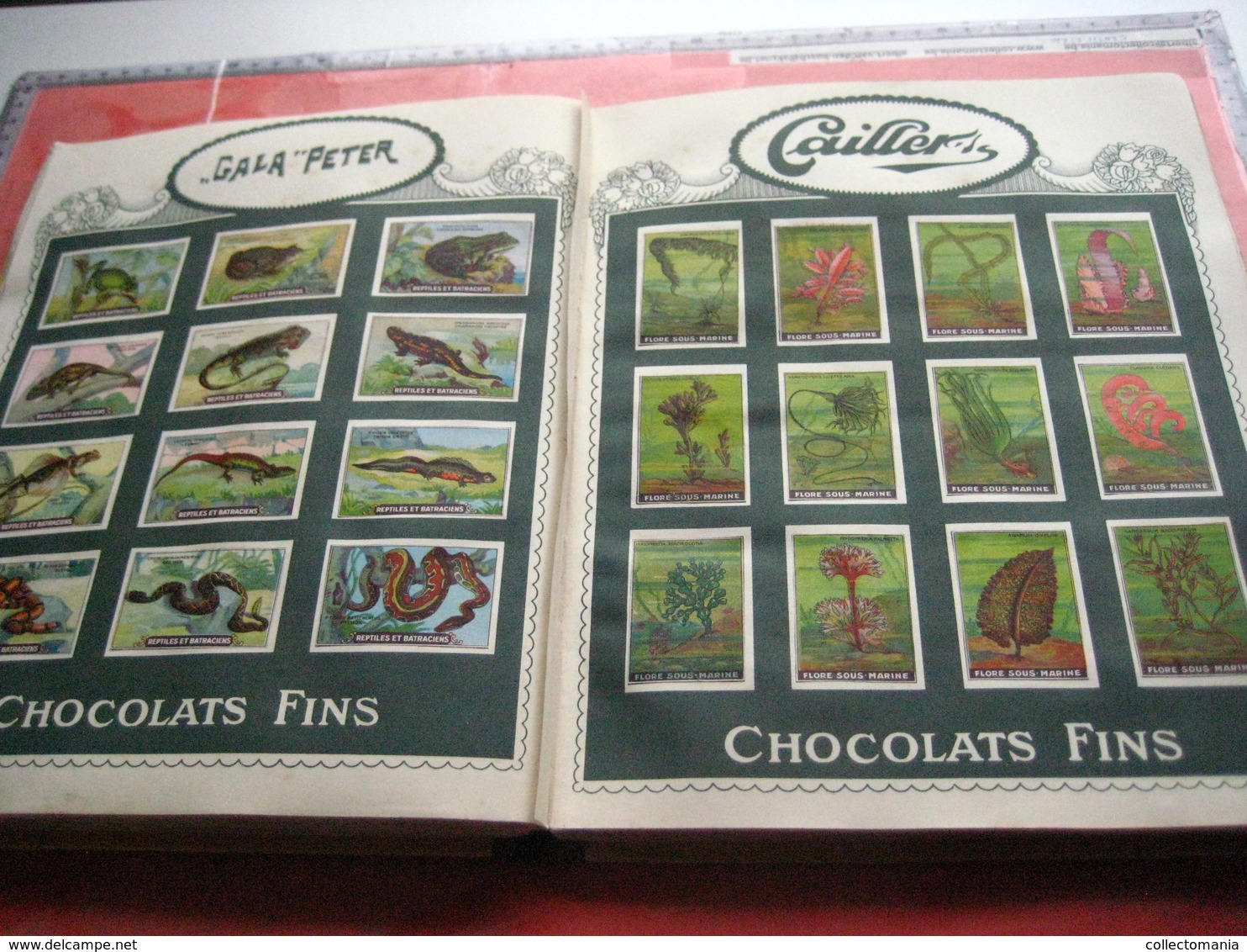 full set 1440 cards, complete sets of 12 excellent chromos, original album - NESTLE butterflies, dogs, horses VG c1926