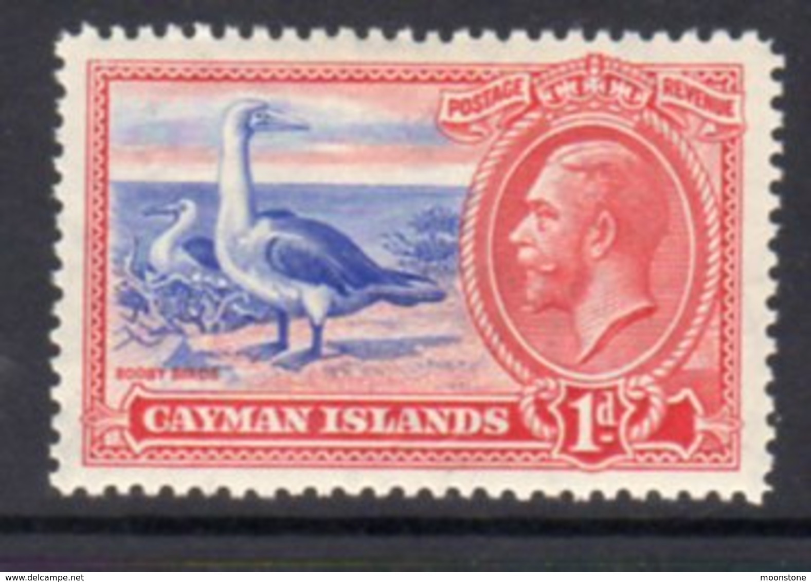 Cayman Islands GV 1935 1d Value, Booby Bird, Hinged Mint, SG 98 - Cayman Islands