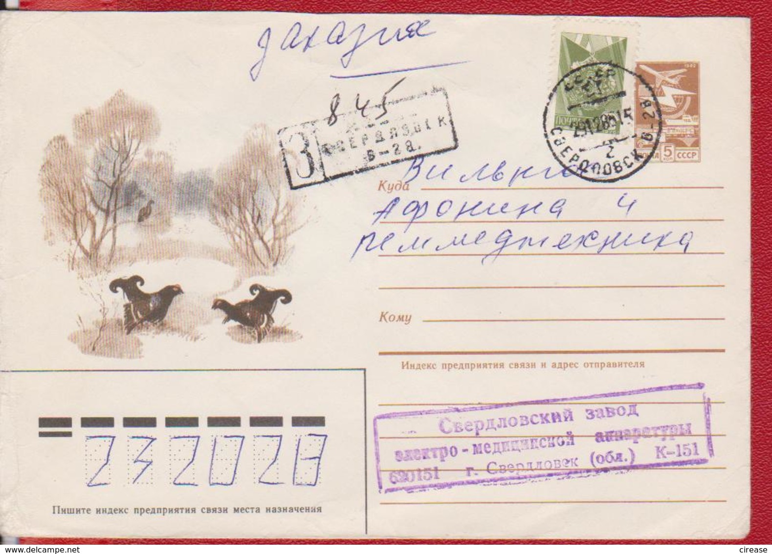 BIRD BIRDS BLACKCOCK MOUNTAIN ROOSTER RUSSIA COVER STATIONERY, ENTIER POSTAL - Coucous, Touracos