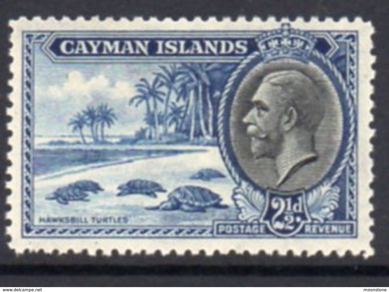 Cayman Islands GV 1935 2½d Value, Hawksbill Turtles, Hinged Mint, SG 101 - Cayman Islands