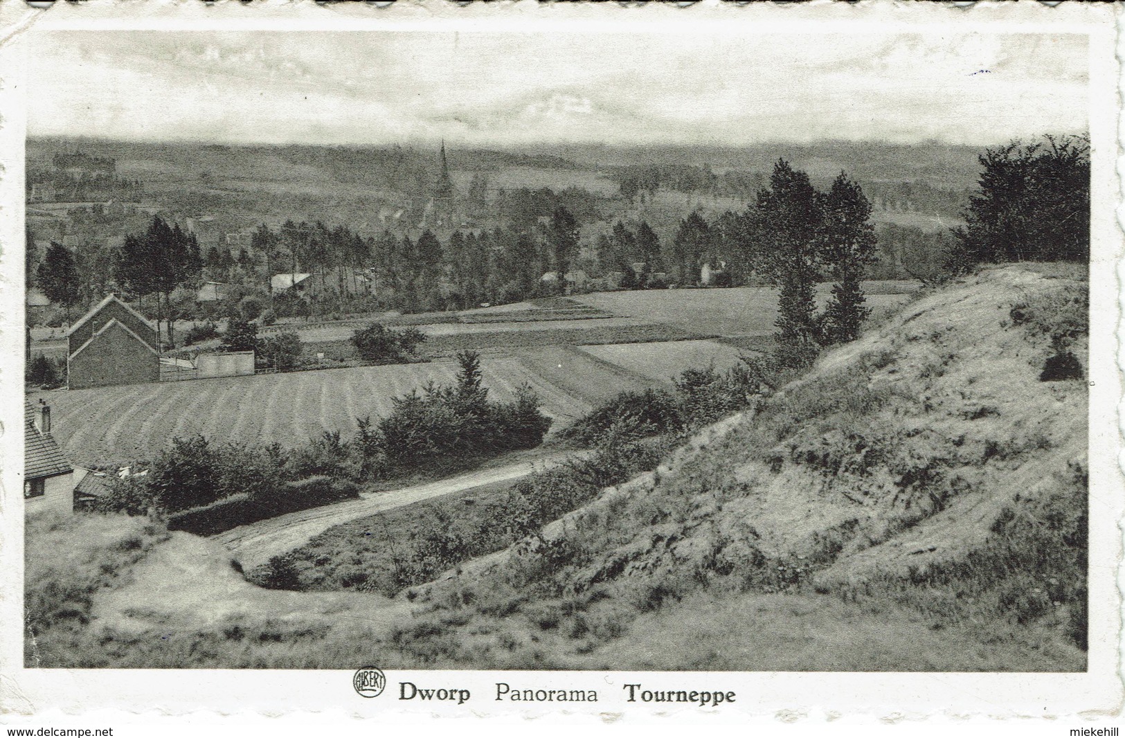 DWORP-TOURNEPPE-PANORAMA - Beersel