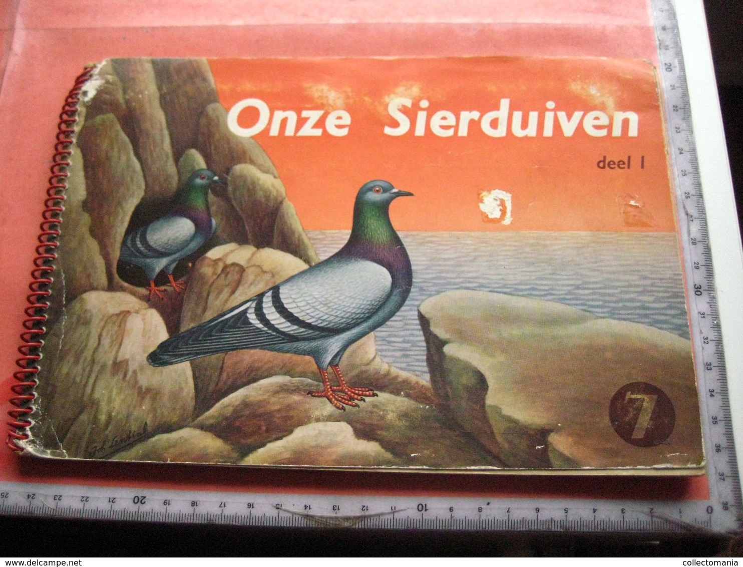 full set complete 24 cards TAUBEN duiven pigeons - 2 ALBUMS Conserven fabriek TAMINIAUX - ELST Hollandse Tuimelaar e.a.