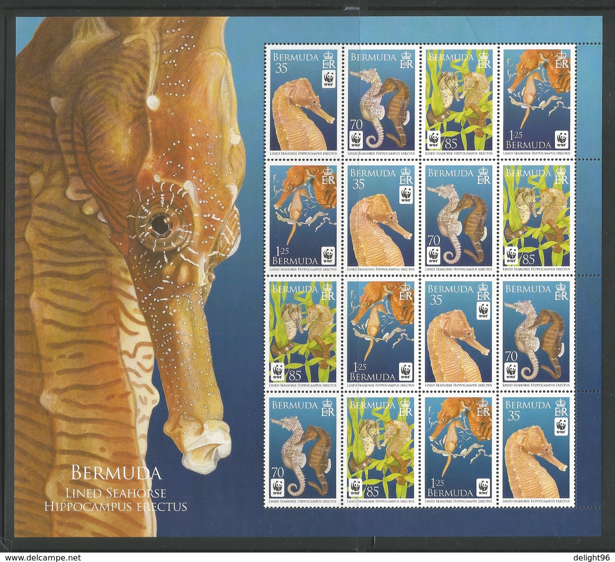 2010 Bermuda WWF Lined Seahorse Sheetlet (** / MNH / UMM) - Neufs