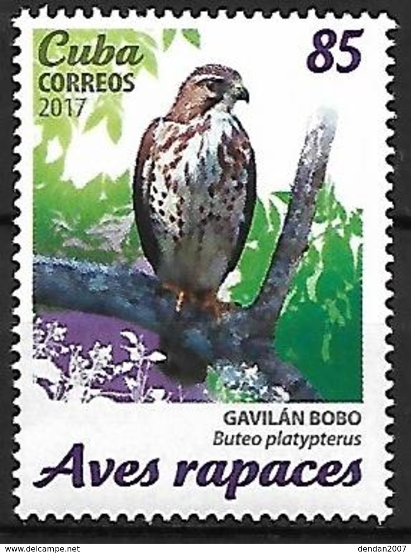 Cuba 2017 - MNH - Broad-winged Hawk (Buteo Platypterus - Eagles & Birds Of Prey