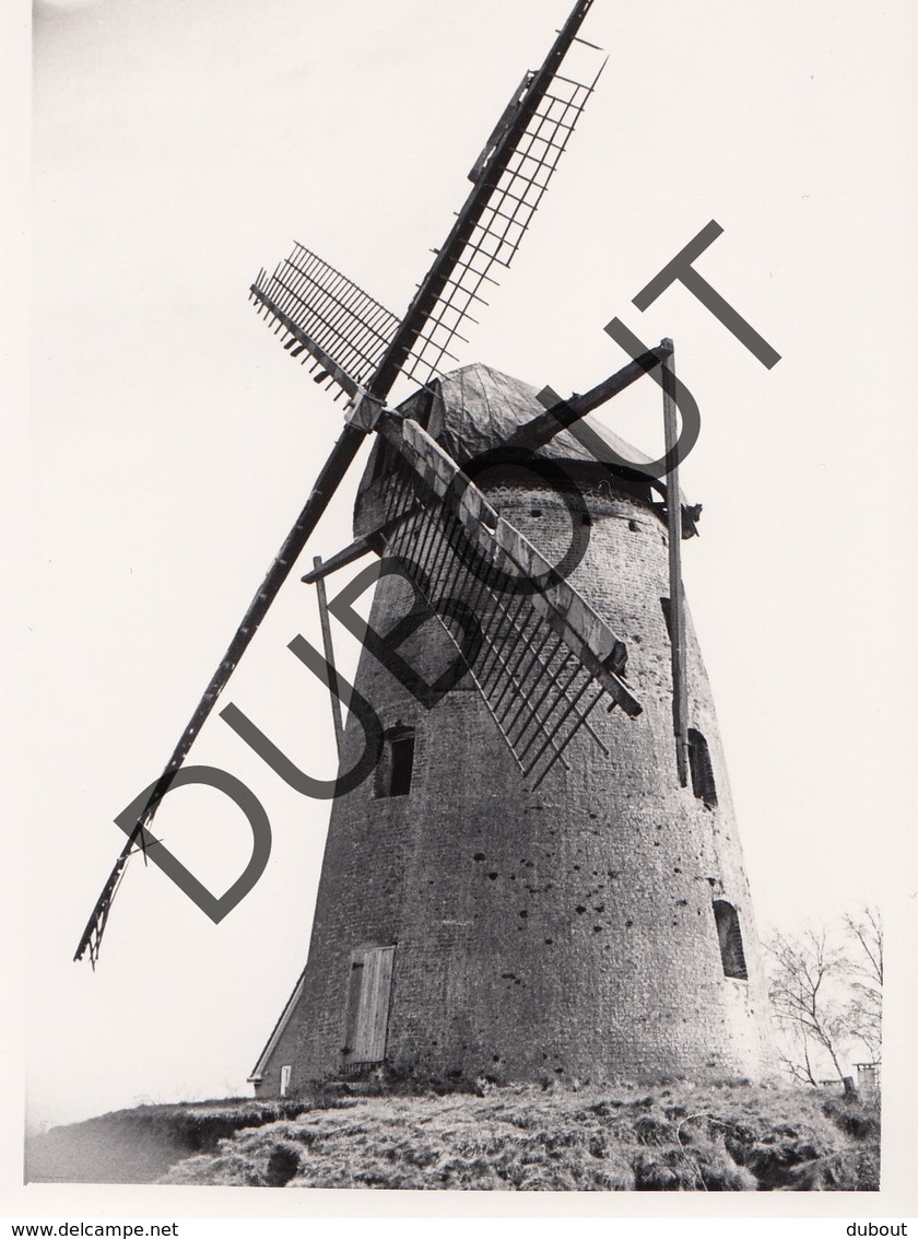 Overpelt Molen/Moulin Originele Foto  C7 - Overpelt