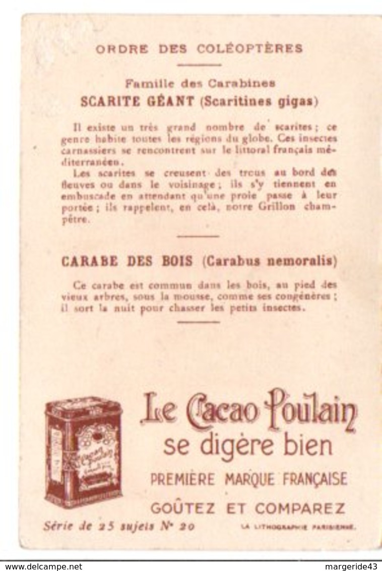 CHROMOS POULAIN - INSECTES UTILES - CARABE ET SCARITE GEANT - Poulain