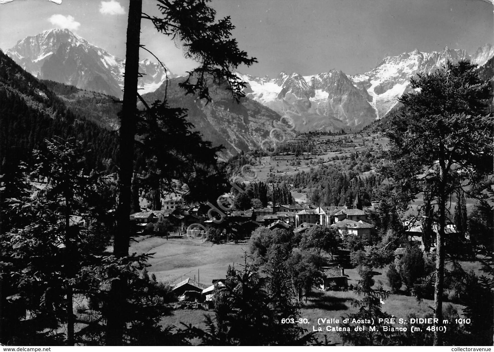 Cartolina Pre S. Didier Panorama E Catena Monte Bianco1961 - Altri & Non Classificati