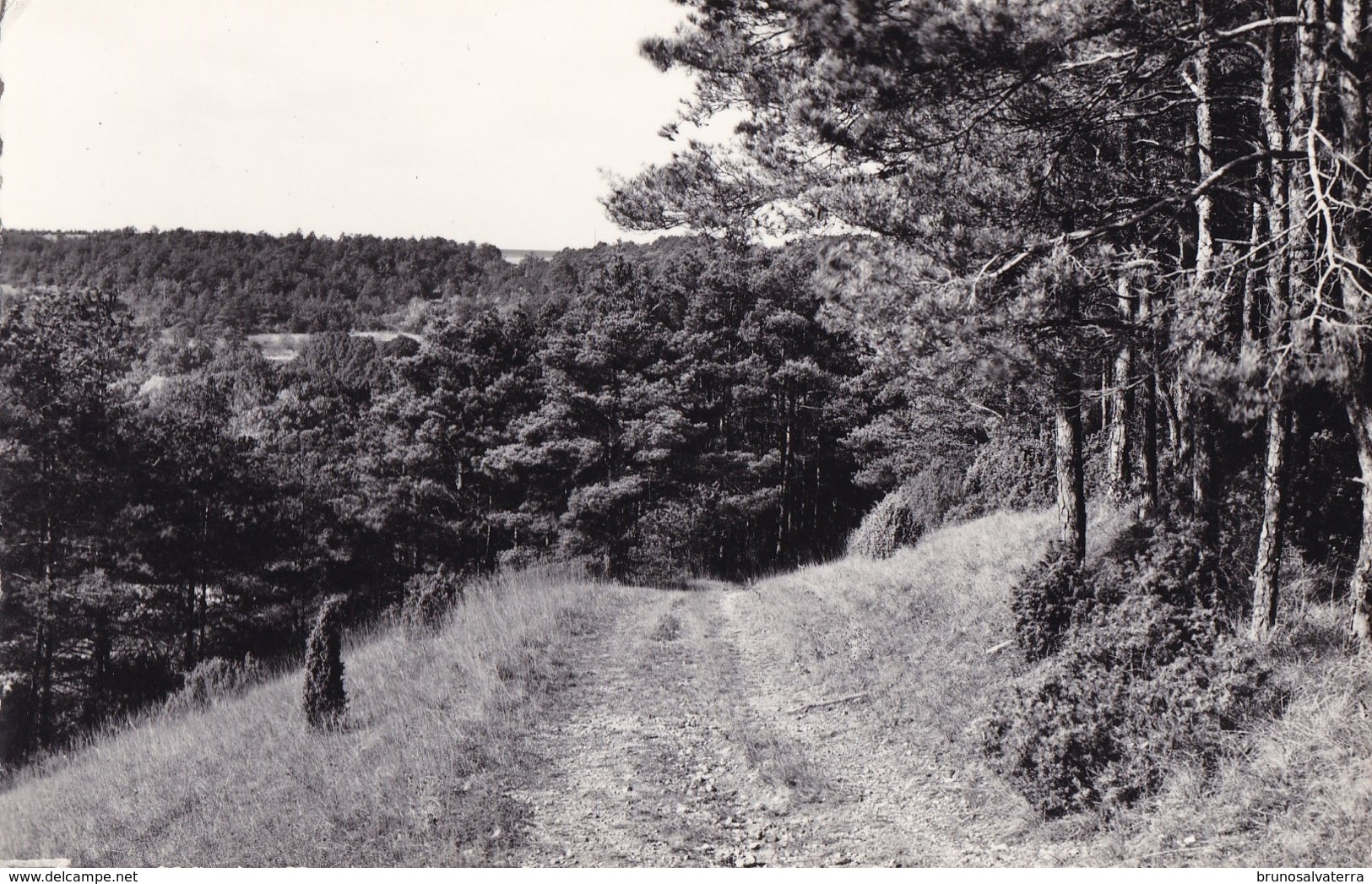 BOISSY LA RIVIERE - Un Chemin - Boissy-la-Rivière