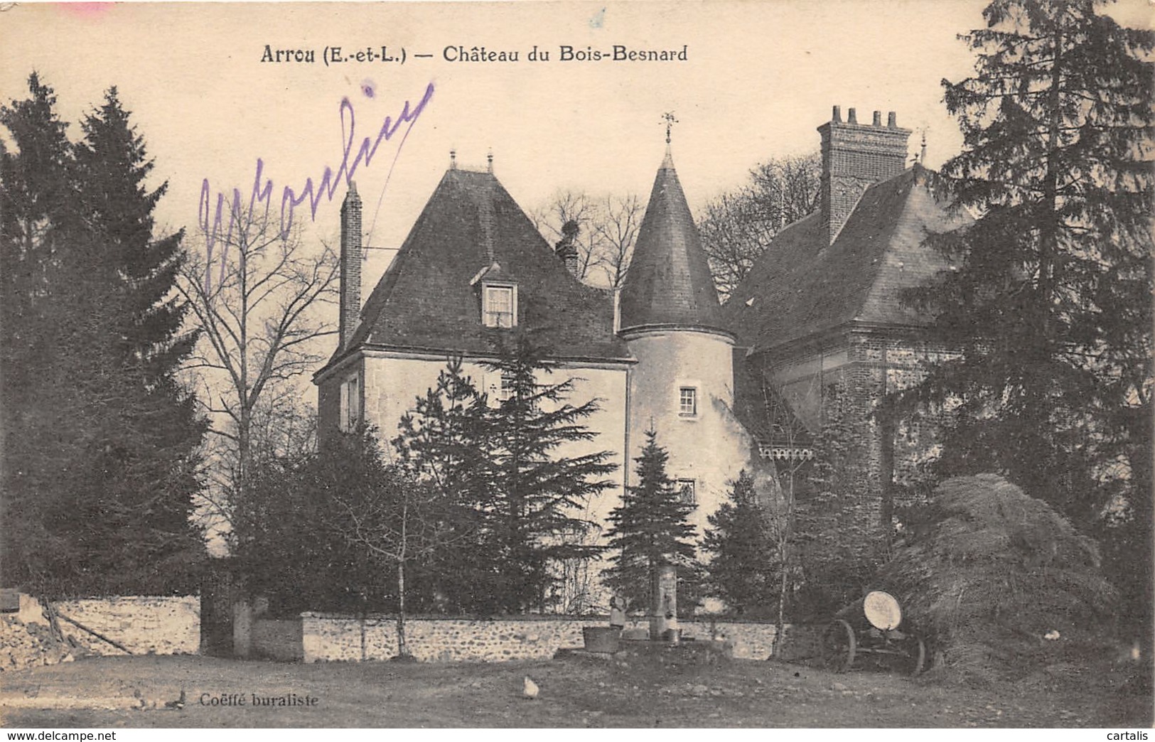 28-ARROU-CHÂTEAU DU BOIS BESNARD-N°286-E/0091 - Autres & Non Classés