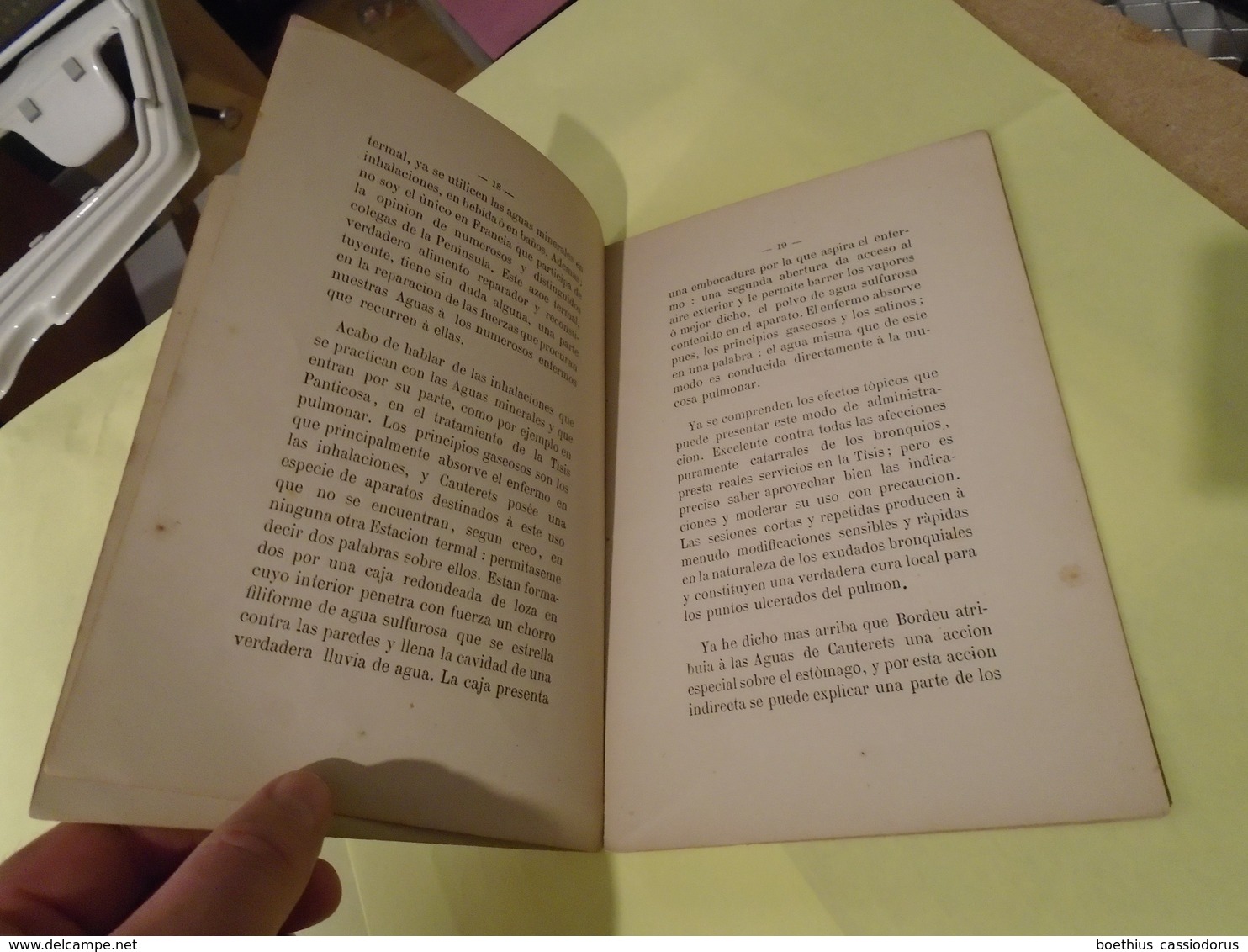Pirineos Pyrénées : VALOR DE LAS AGUAS DE CAUTERETS EN EL TRATAMIENTO DE LA TISIS PULMONAR 1883 Dr DUHOURCAU - Culture