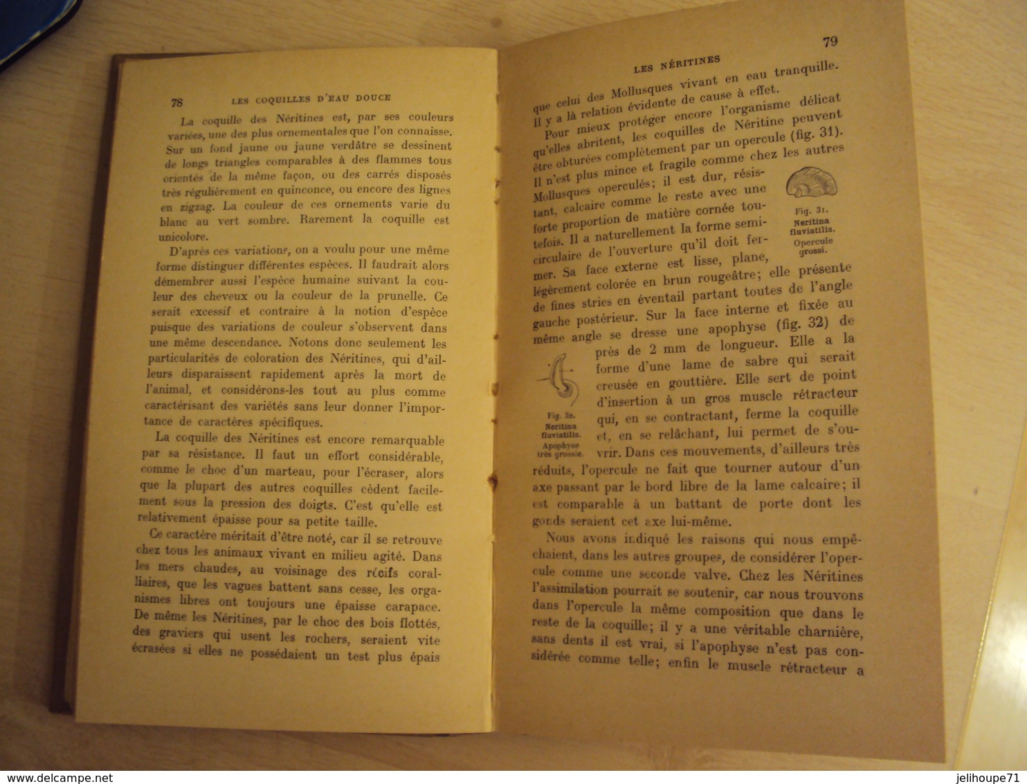 Encyclopédie pratique du naturiste - les mollusques d'eau douce  - tome XXIV -1926