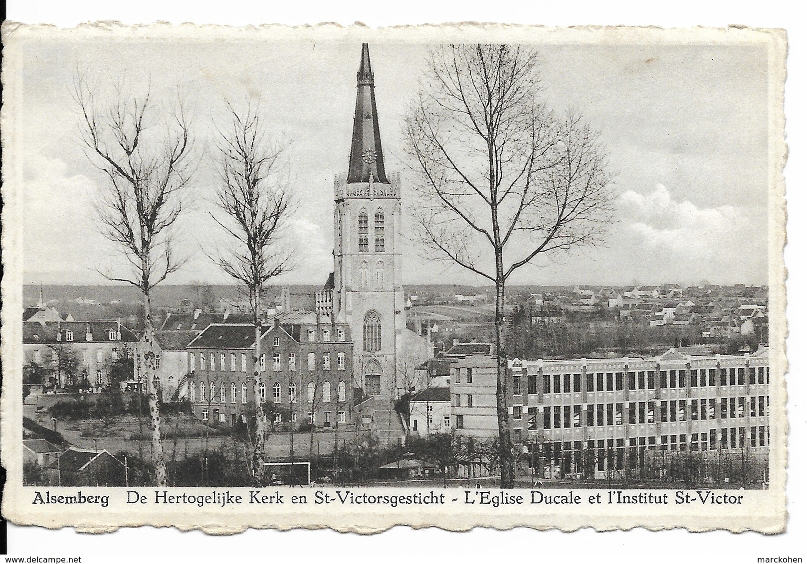 Beersel-Alsemberg (1652) : Panorama De L'Eglise Ducale Et De L'Institut Saint-Victor. CPSM Peu Courante. - Beersel