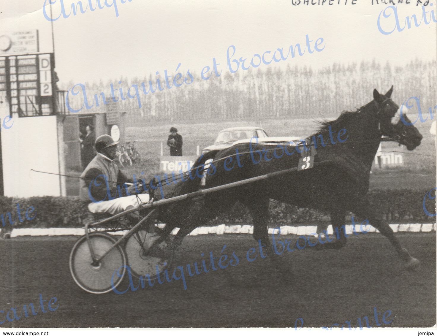 Photographie Cheval Compétition De Sulky Hippodrome De Kuurne 1973 - Sport