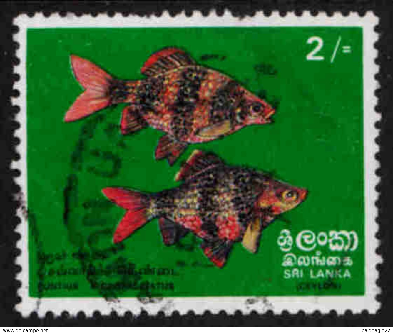 Sri Lanka - Ceylon - Scott #476 Used (2) Missing Perf - Sri Lanka (Ceylon) (1948-...)