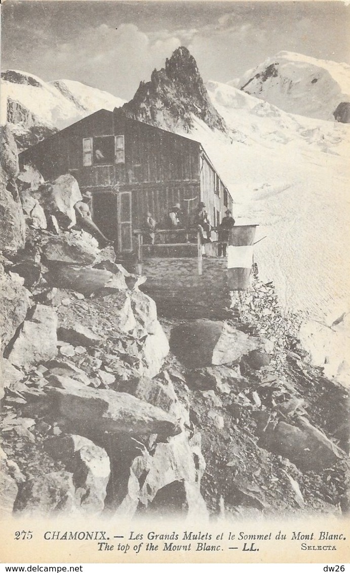 Alpinisme Chamonix - Refuge Les Grands Mulets Et Le Sommet Du Mont Blanc - Carte LL N° 275 Non Circulée - Alpinismo