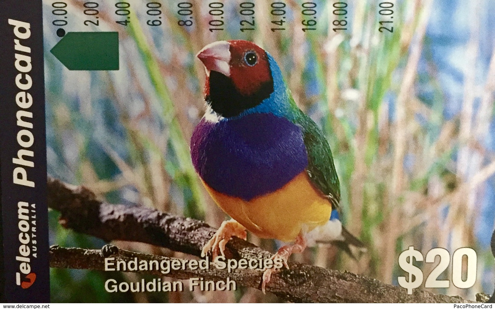 Paco \ AUSTRALIA \ AUS-M-103 \ Gouldian Finch - Uccelli \ Usata - Australië